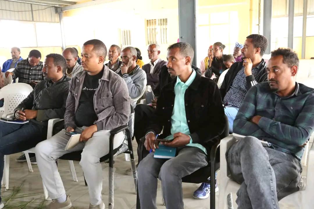 Burger & French Fries